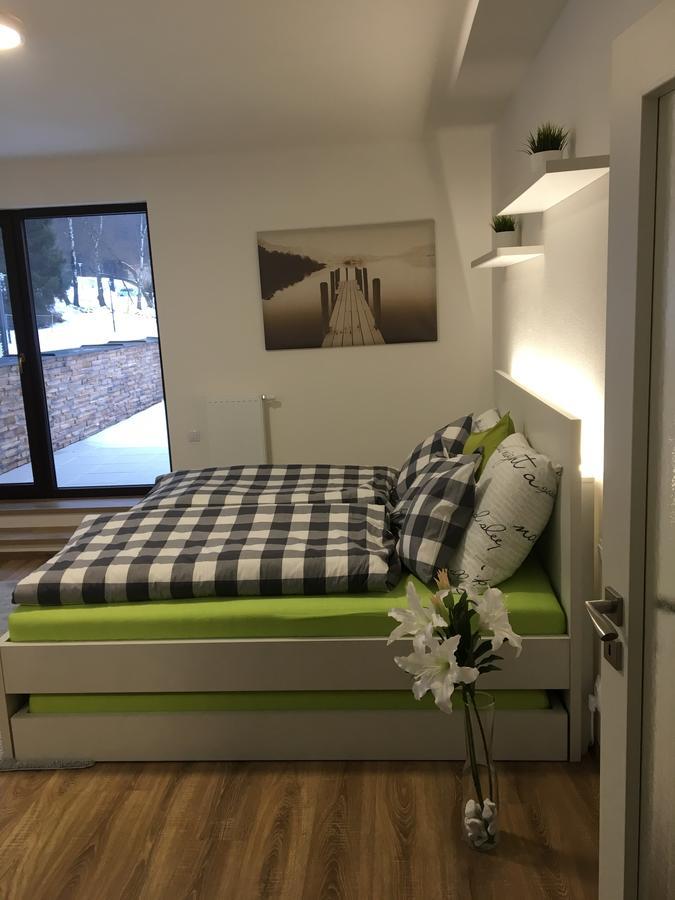 Apartman Monika 伏尔塔瓦河畔利普诺 外观 照片