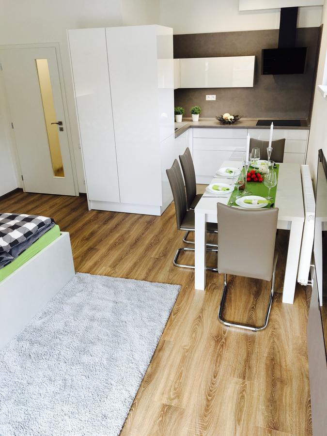 Apartman Monika 伏尔塔瓦河畔利普诺 外观 照片